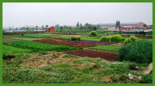 Farming near Kunming