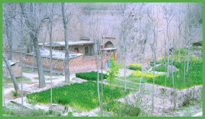 Cave house and crops, Zhengzhou