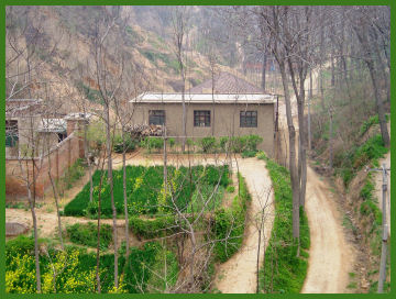 Isolated farmhouse, Zhengzhou