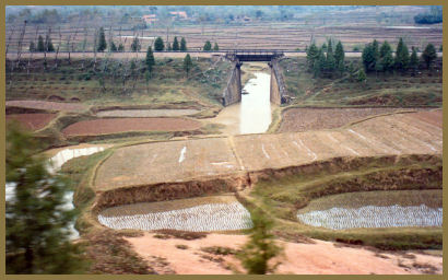 A road, a canal and fishponds near Chengdu